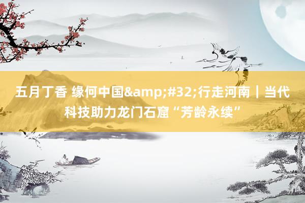 五月丁香 缘何中国&#32;行走河南｜当代科技助力龙门石窟“芳龄永续”