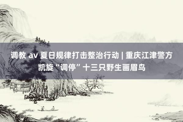 调教 av 夏日规律打击整治行动 | 重庆江津警方凯旋“调停”十三只野生画眉鸟