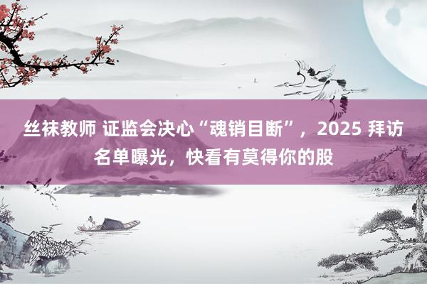 丝袜教师 证监会决心“魂销目断”，2025 拜访名单曝光，快看有莫得你的股