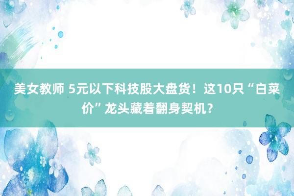 美女教师 5元以下科技股大盘货！这10只“白菜价”龙头藏着翻身契机？