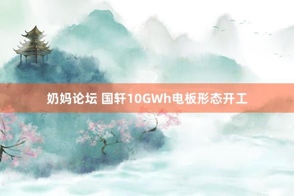 奶妈论坛 国轩10GWh电板形态开工