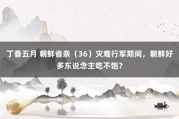 丁香五月 朝鲜省亲（36）灾难行军期间，朝鲜好多东说念主吃不饱？