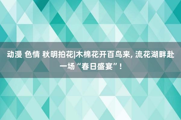 动漫 色情 秋明拍花|木棉花开百鸟来， 流花湖畔赴一场“春日盛宴”!