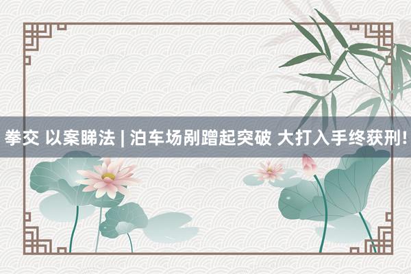拳交 以案睇法 | 泊车场剐蹭起突破 大打入手终获刑!