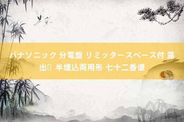 パナソニック 分電盤 リミッタースペース付 露出・半埋込両用形 七十二香谱